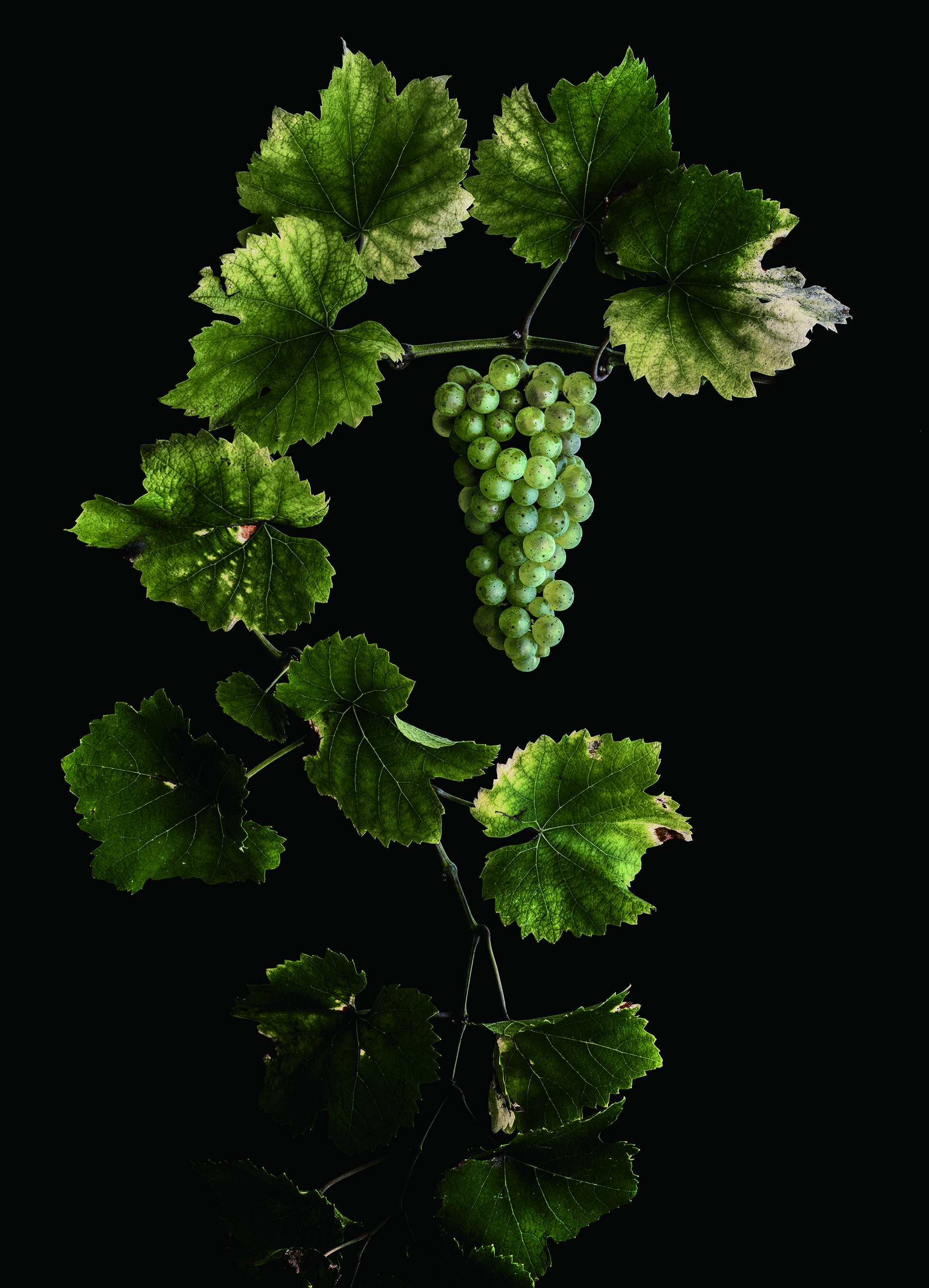 Color Object Works 003