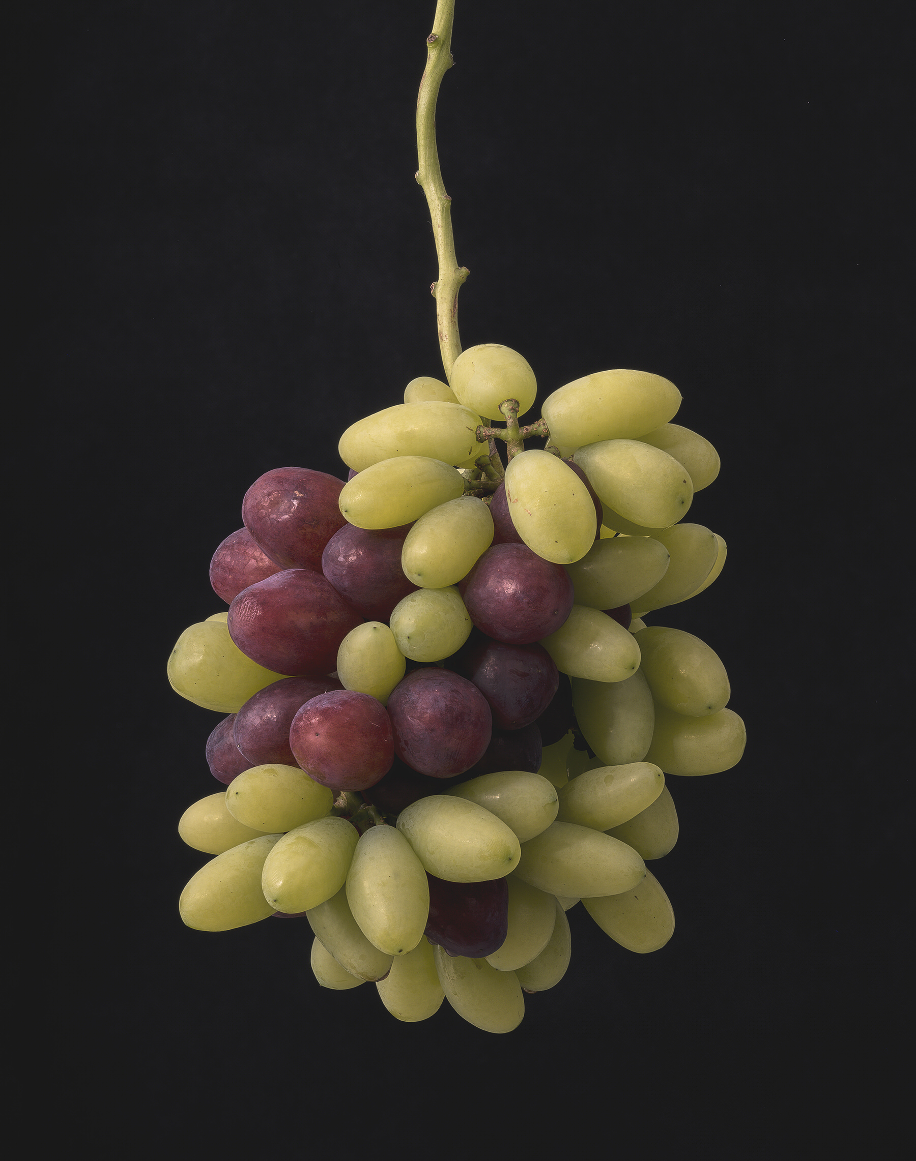 Color Object Works 004