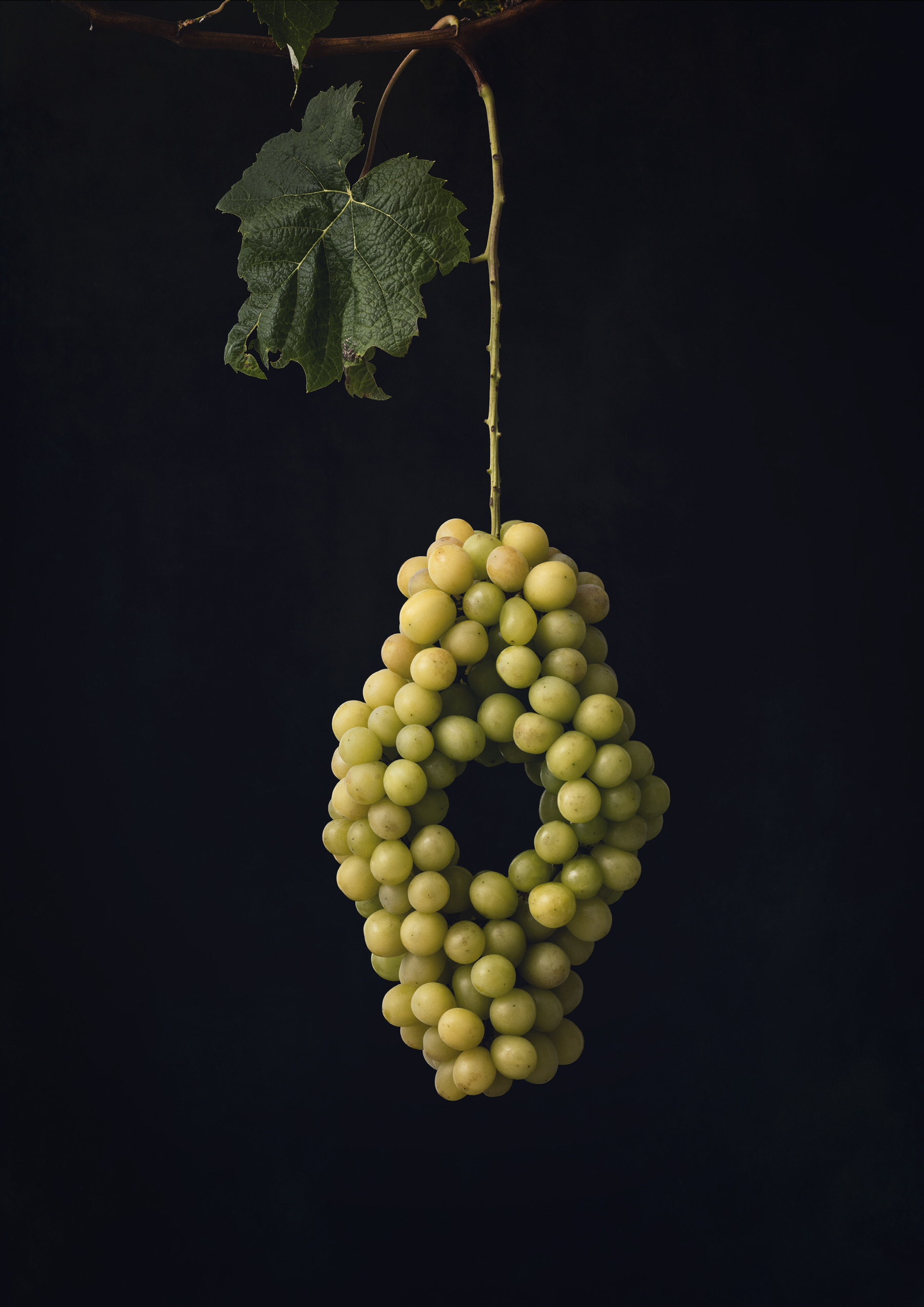 Color Object Works 005