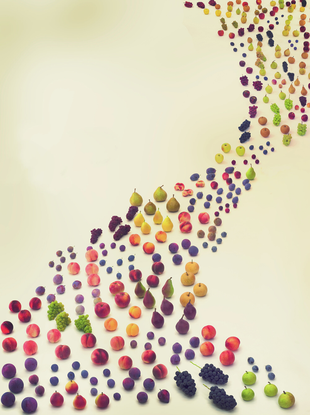 Color Object Works 006