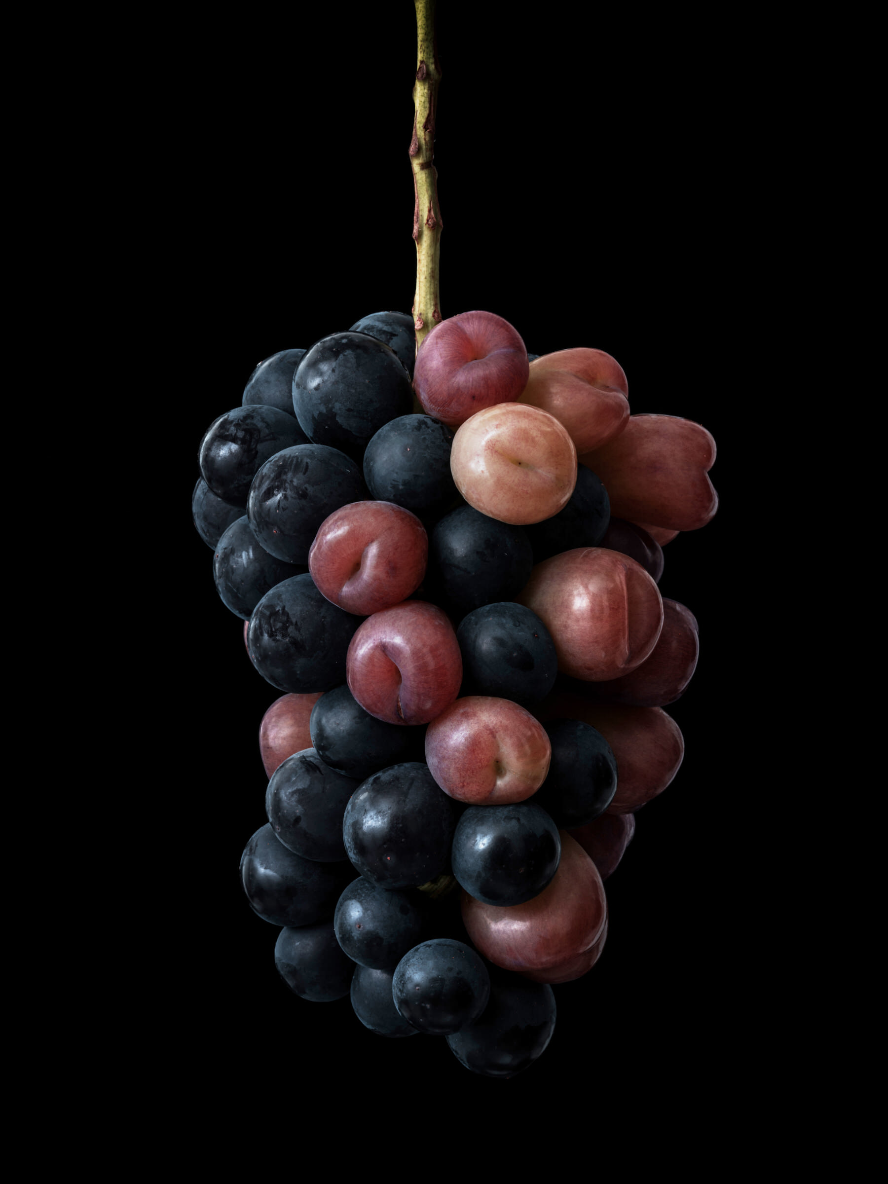 Color Object Works 008