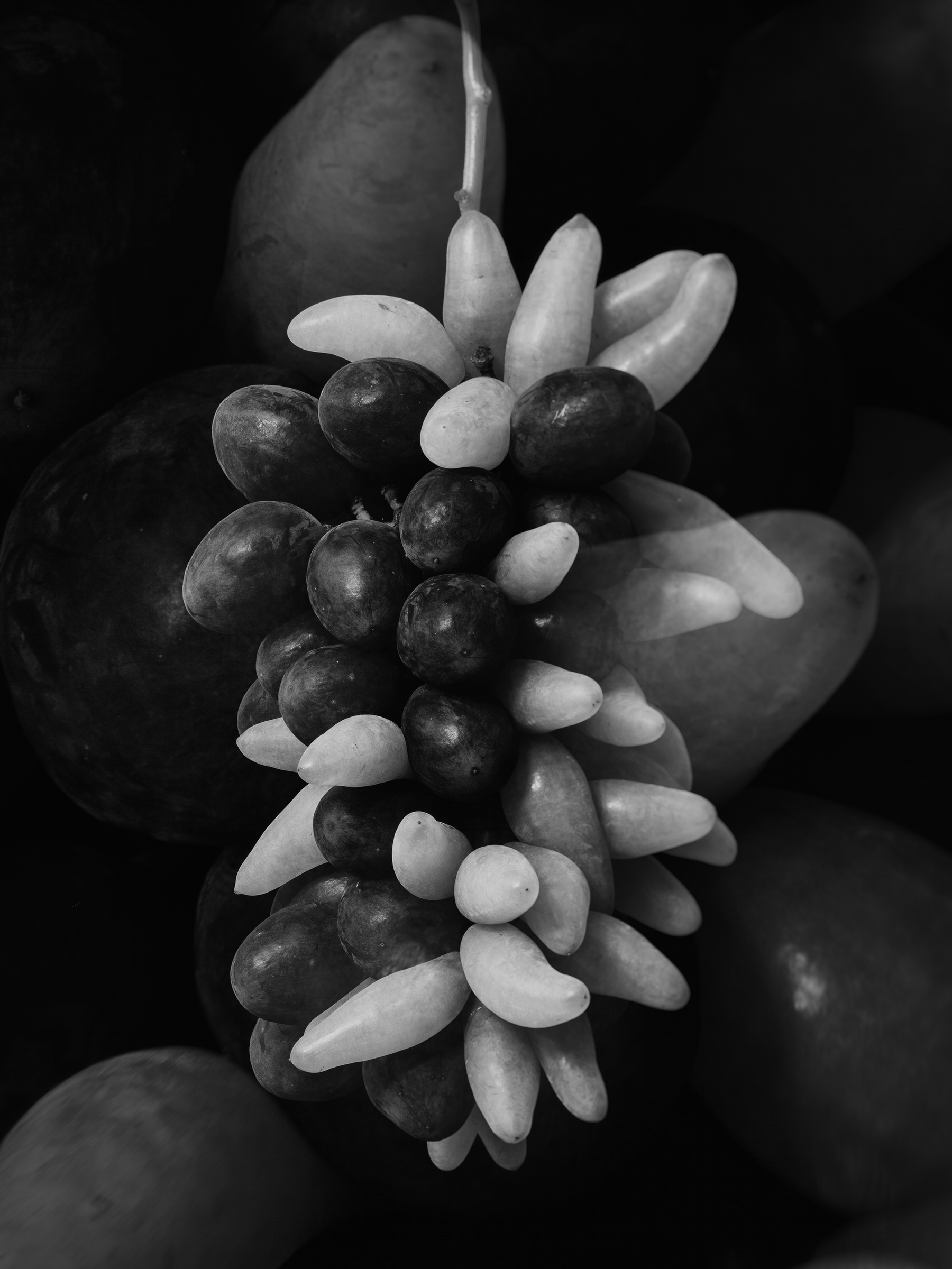 Improvisations of a Fruit Breeder 002