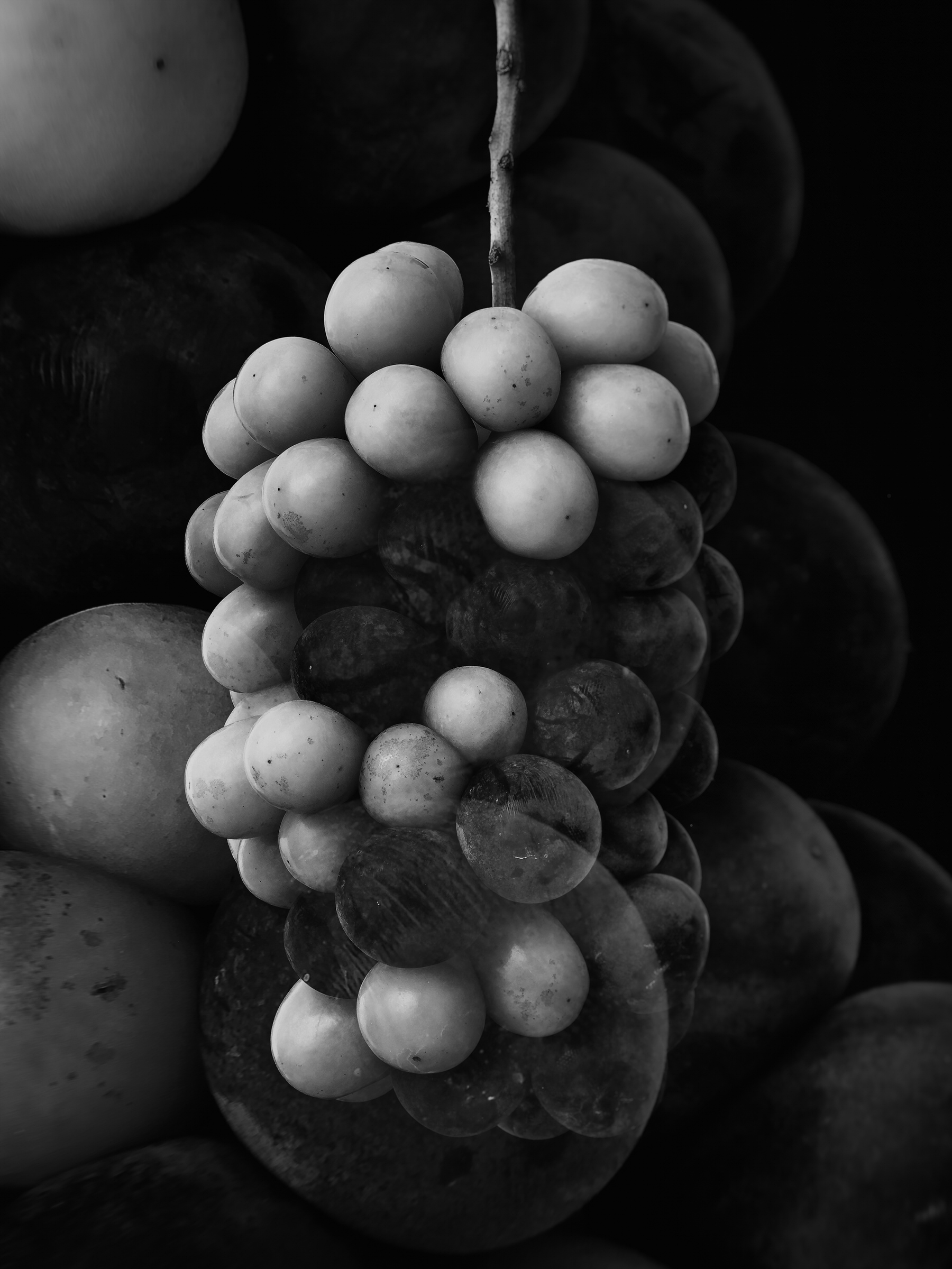 Improvisations of a Fruit Breeder 007