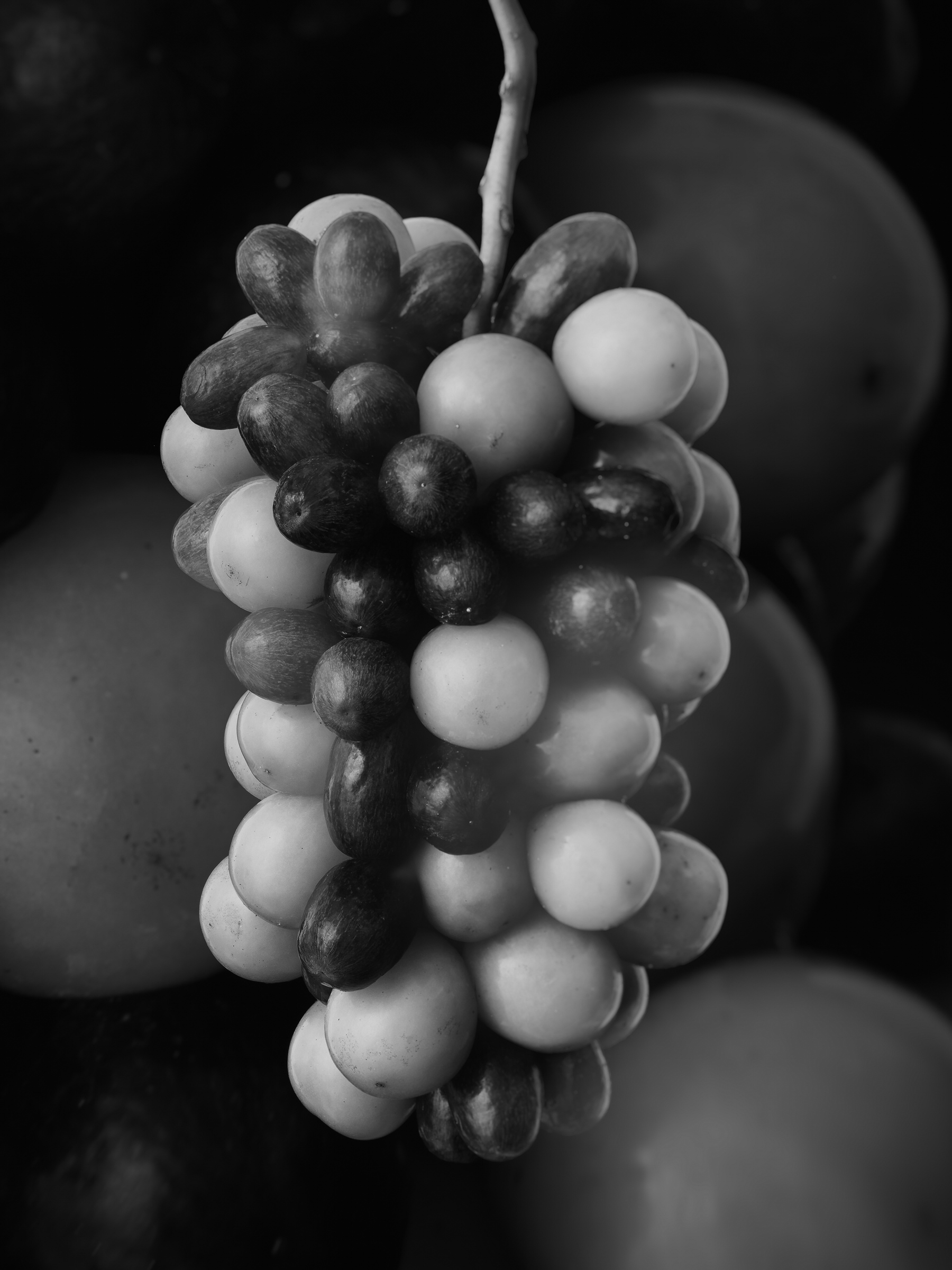 Improvisations of a Fruit Breeder 009