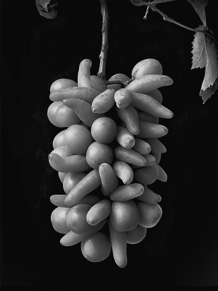 Monochrome Object Works 003