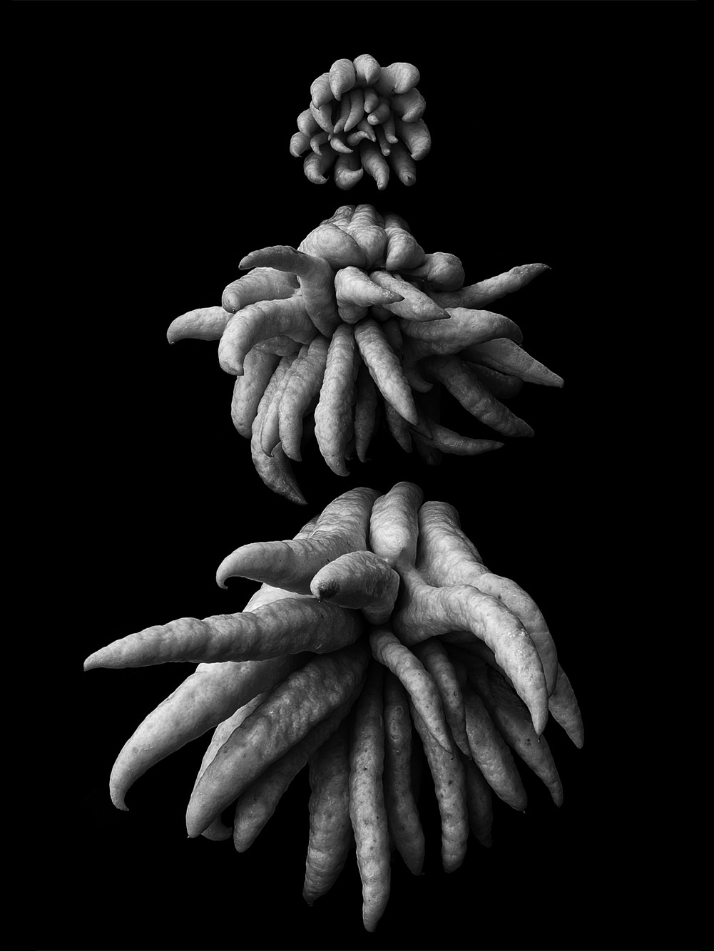 Monochrome Object Works 005