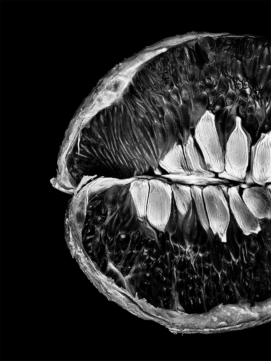 Monochrome Object Works 007