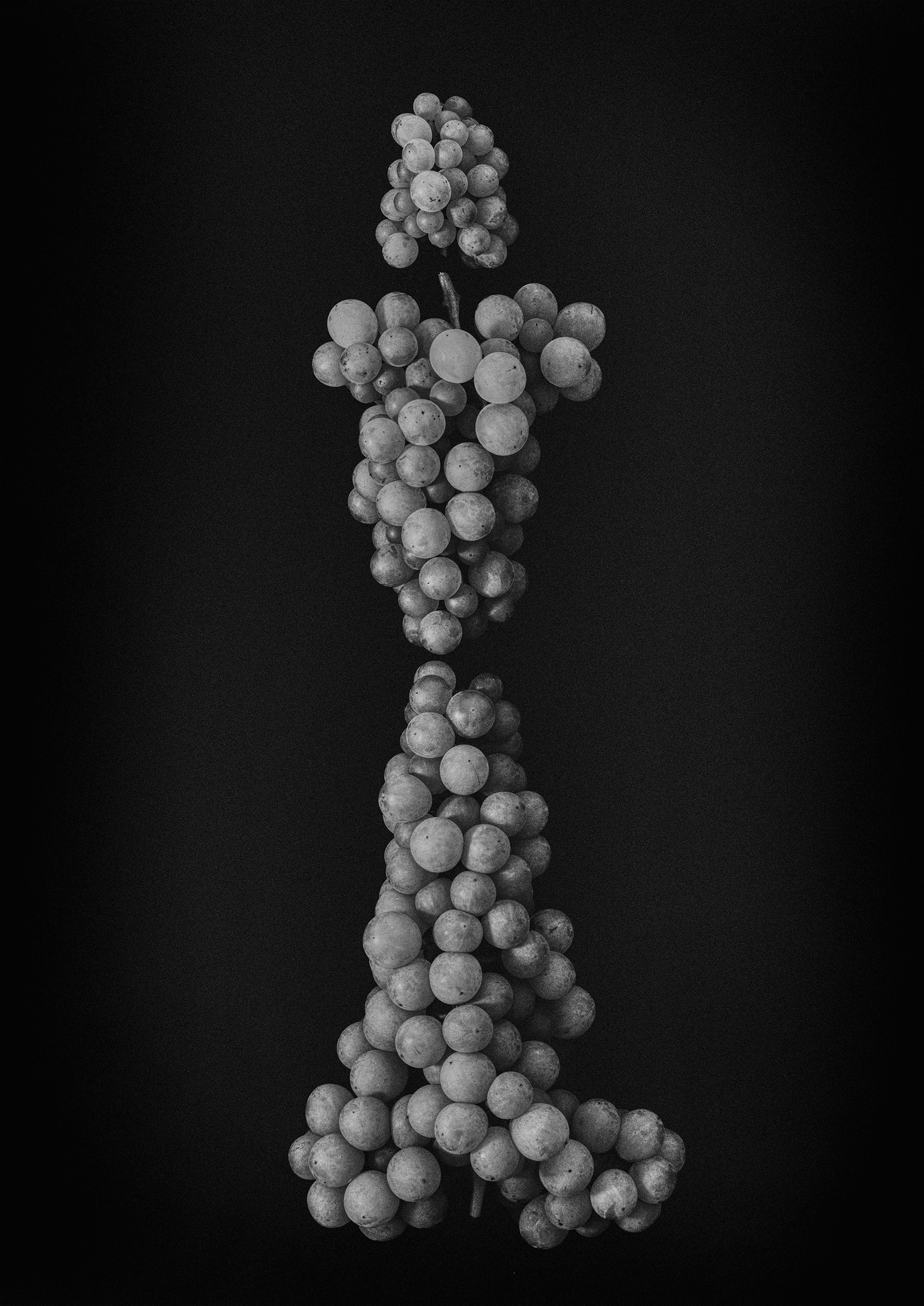 Monochrome Object Works 008