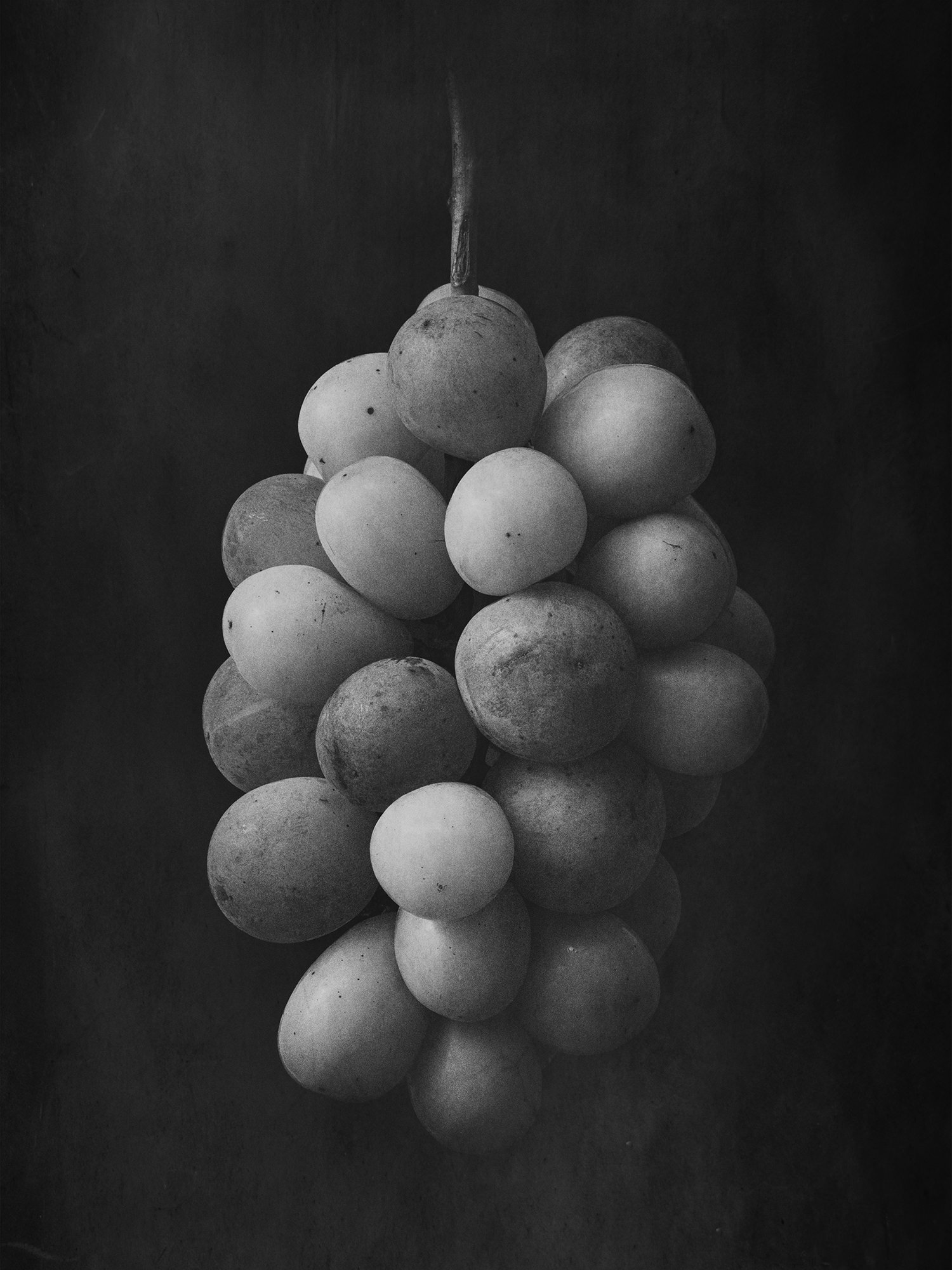 Monochrome Object Works 009