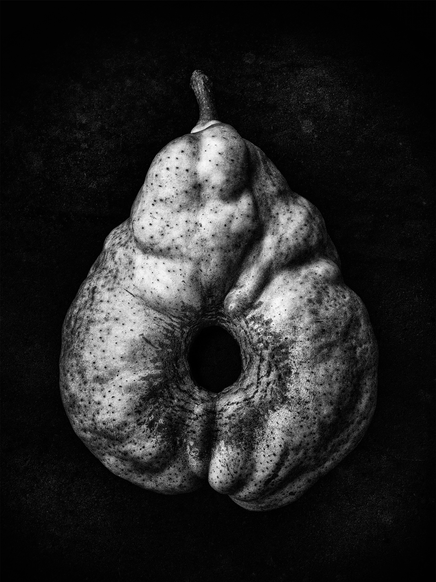 Monochrome Object Works 010