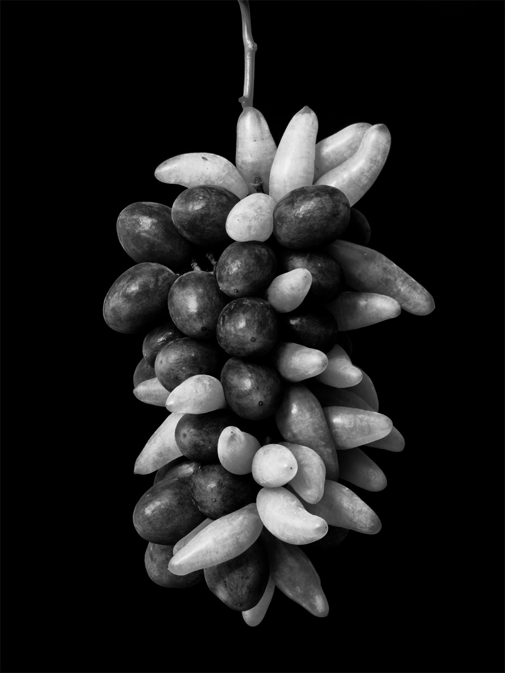Monochrome Object Works 011