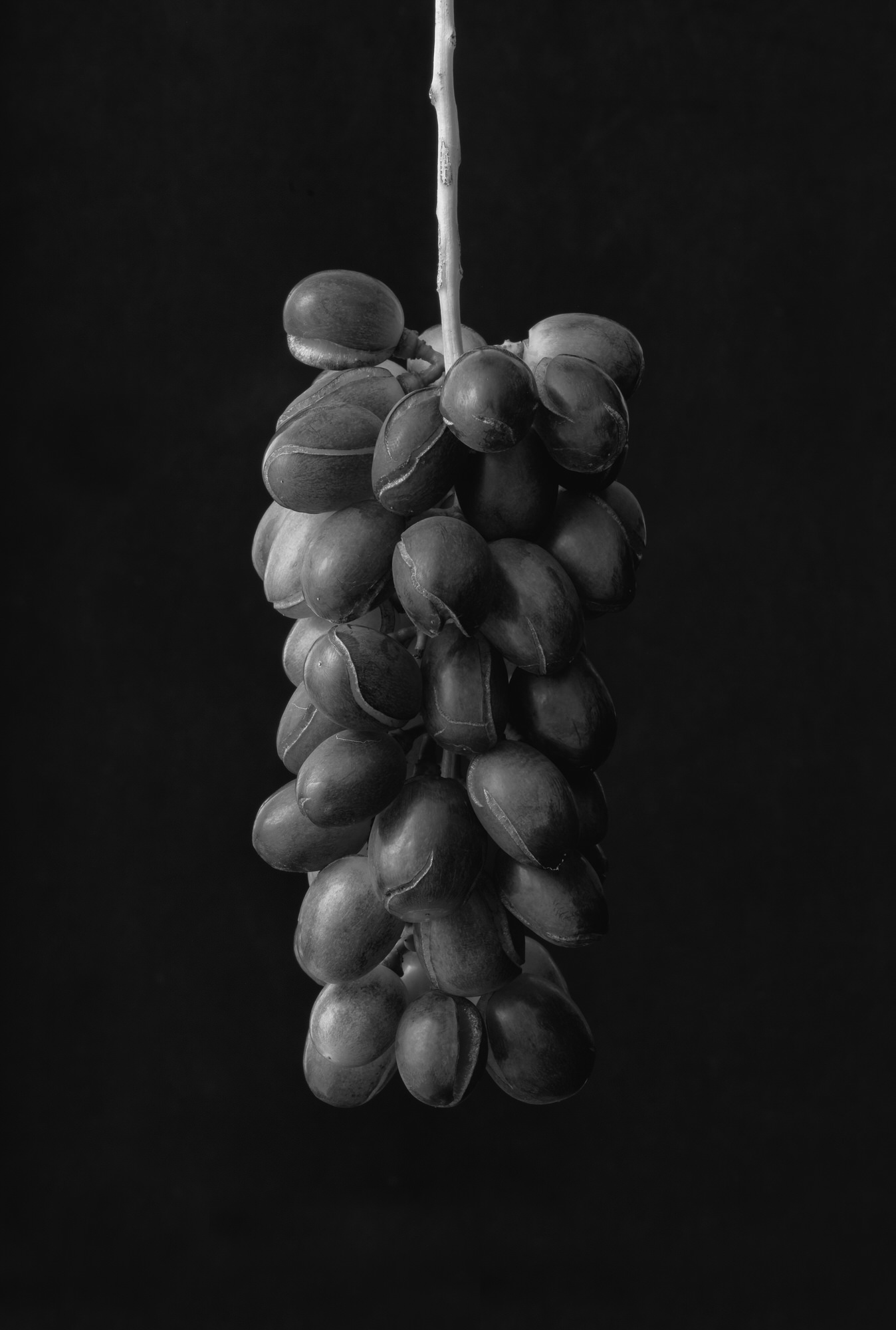 Monochrome Object Works 012