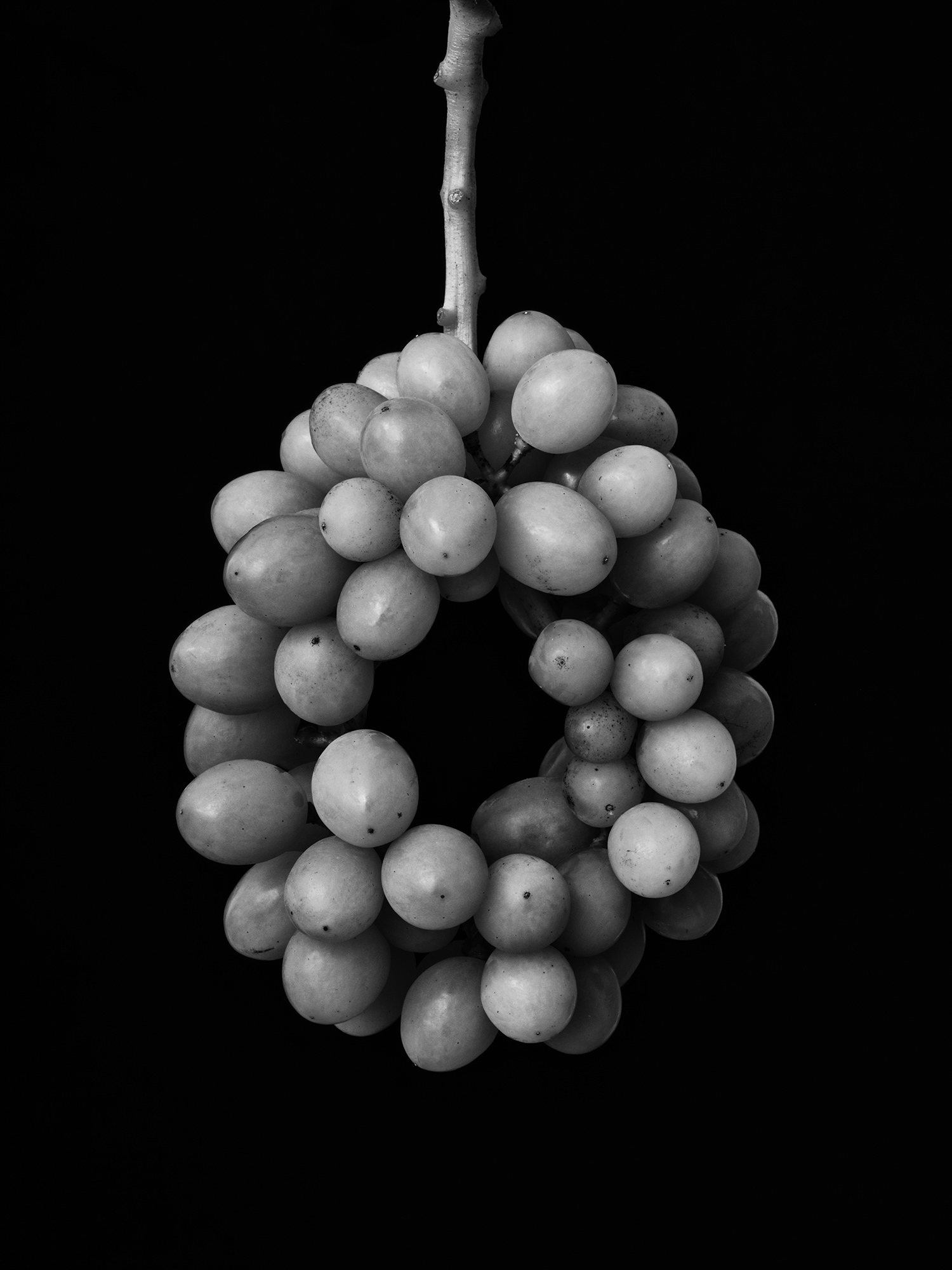 Monochrome Object Works 013