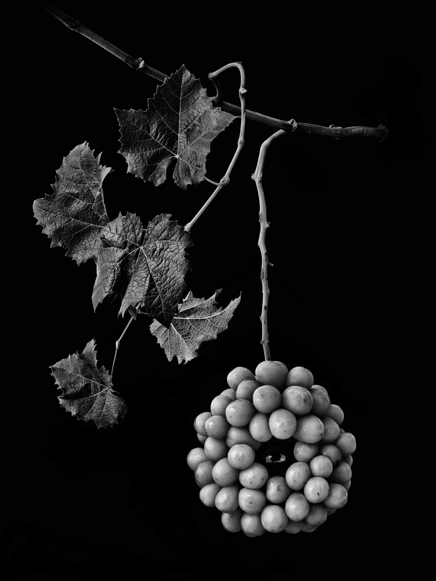Monochrome Object Works 014