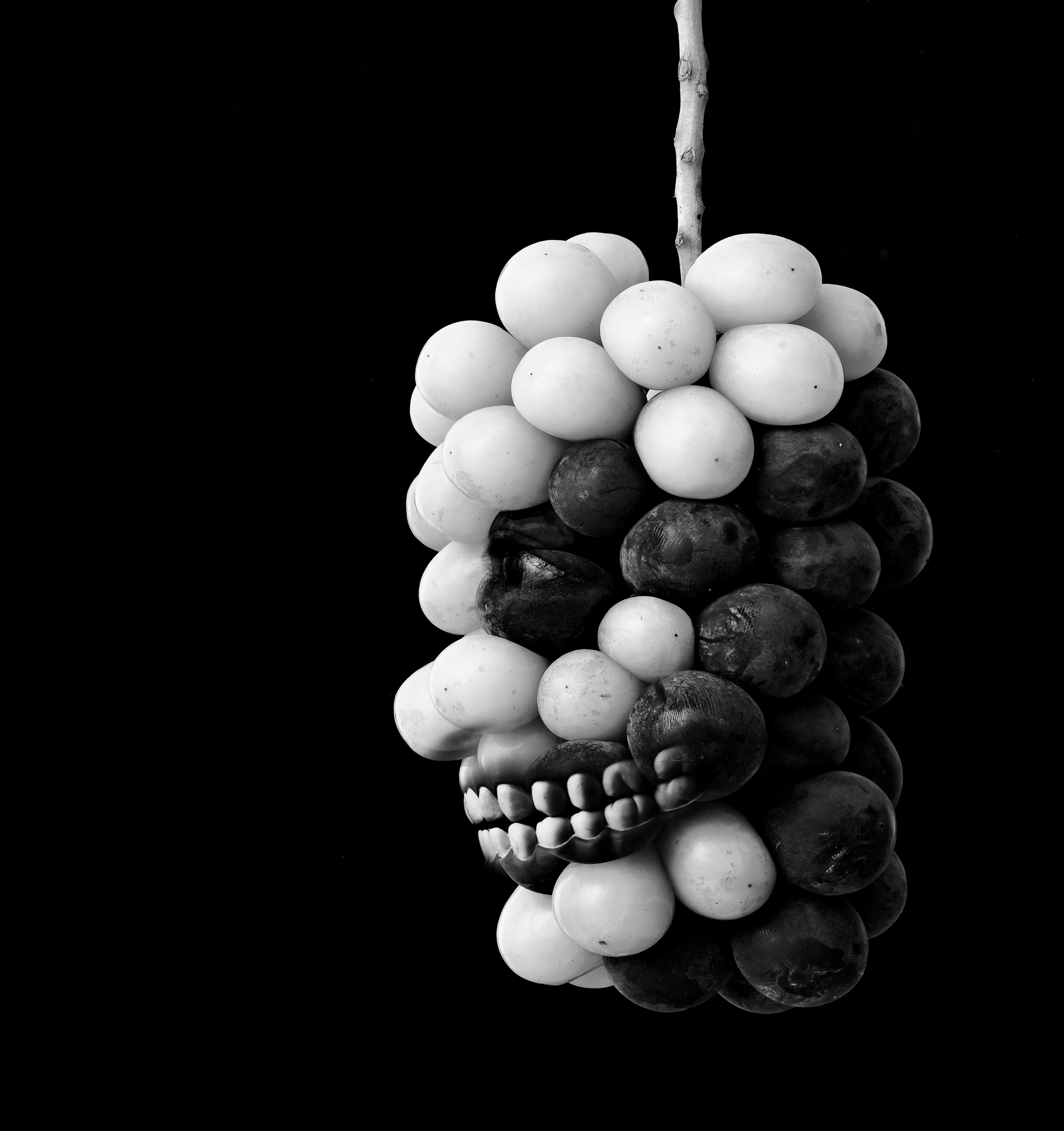 Monochrome Object Works 016