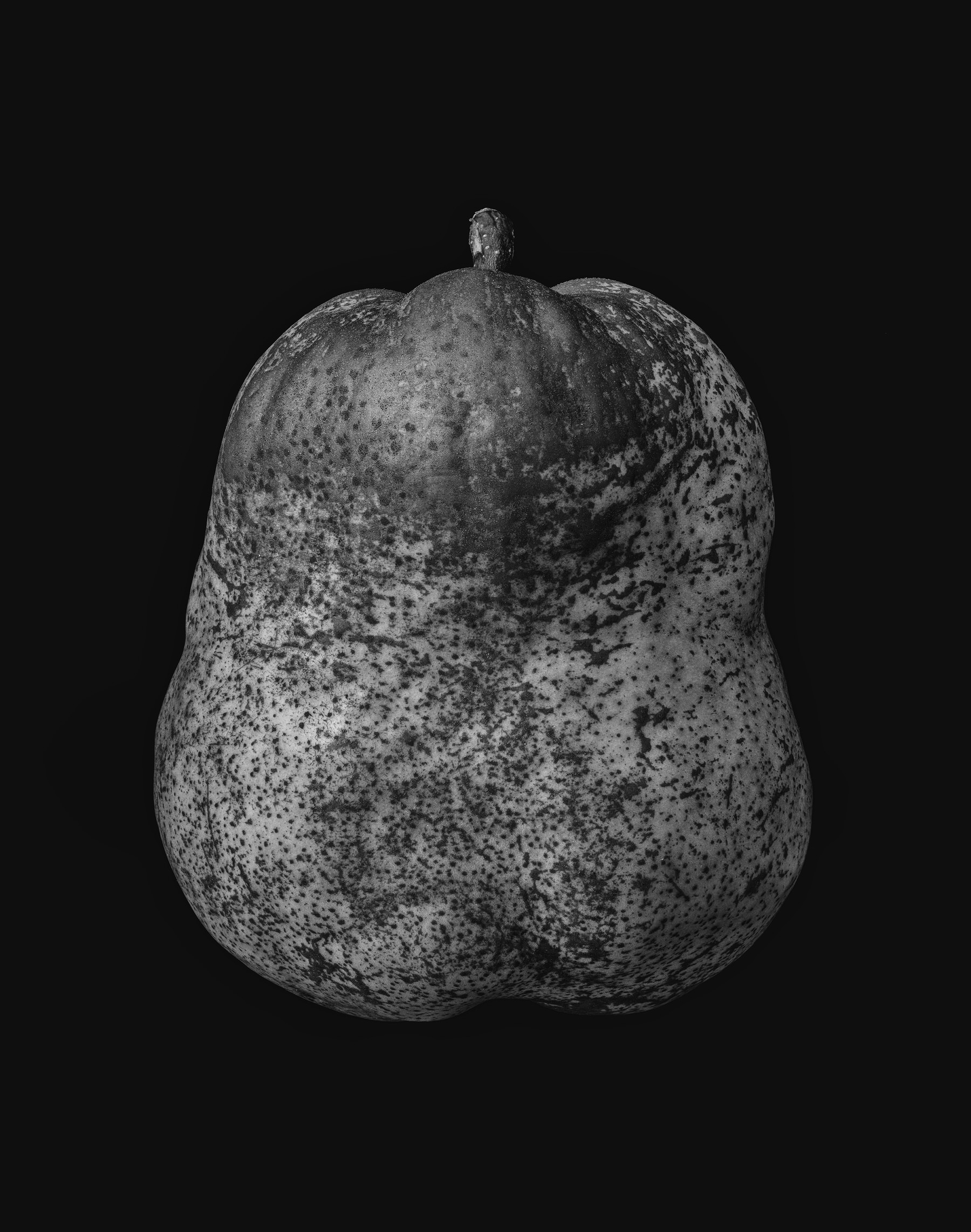 Monochrome Object Works 017