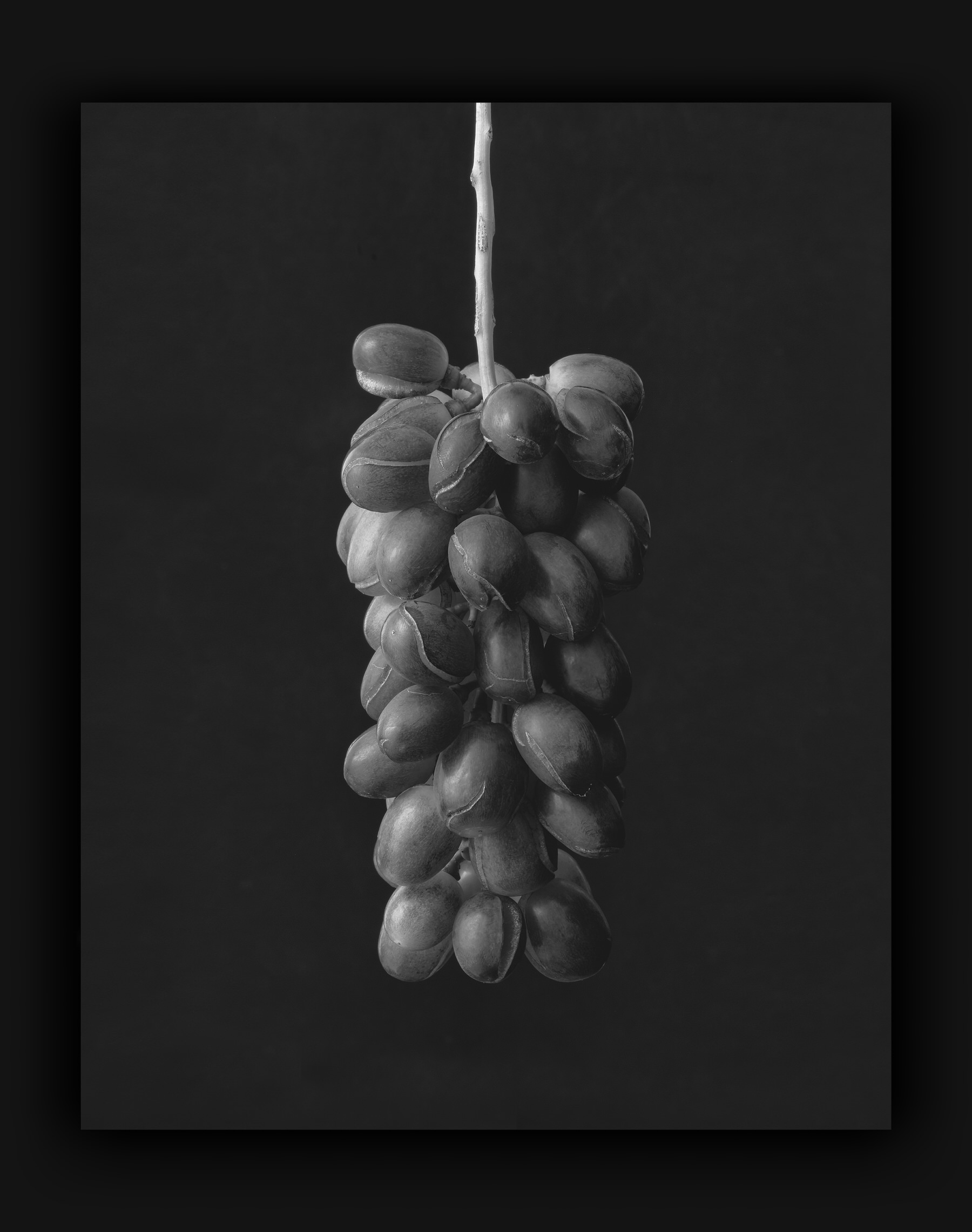 Monochrome Object Works 018