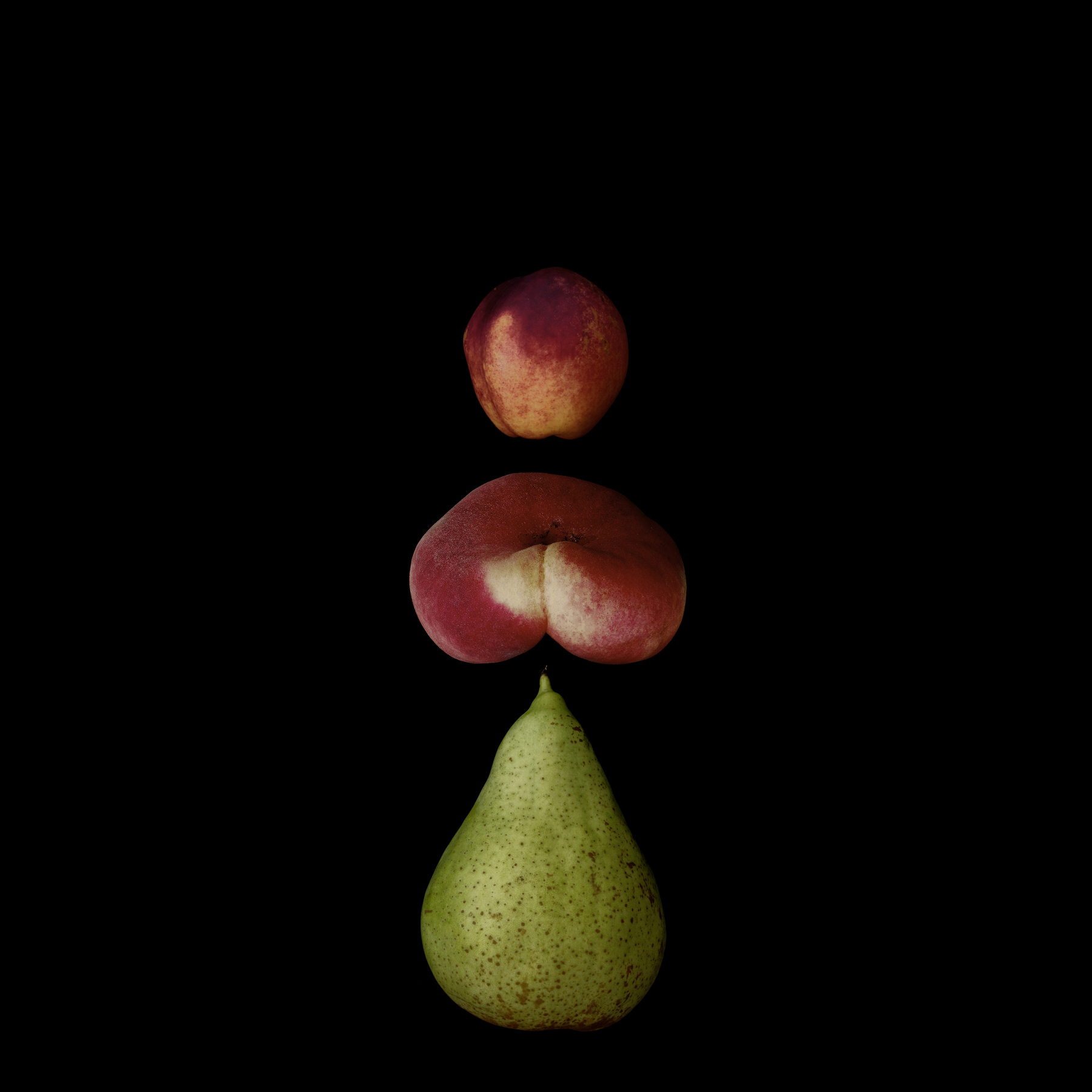 Portraits: Composite Forms 002