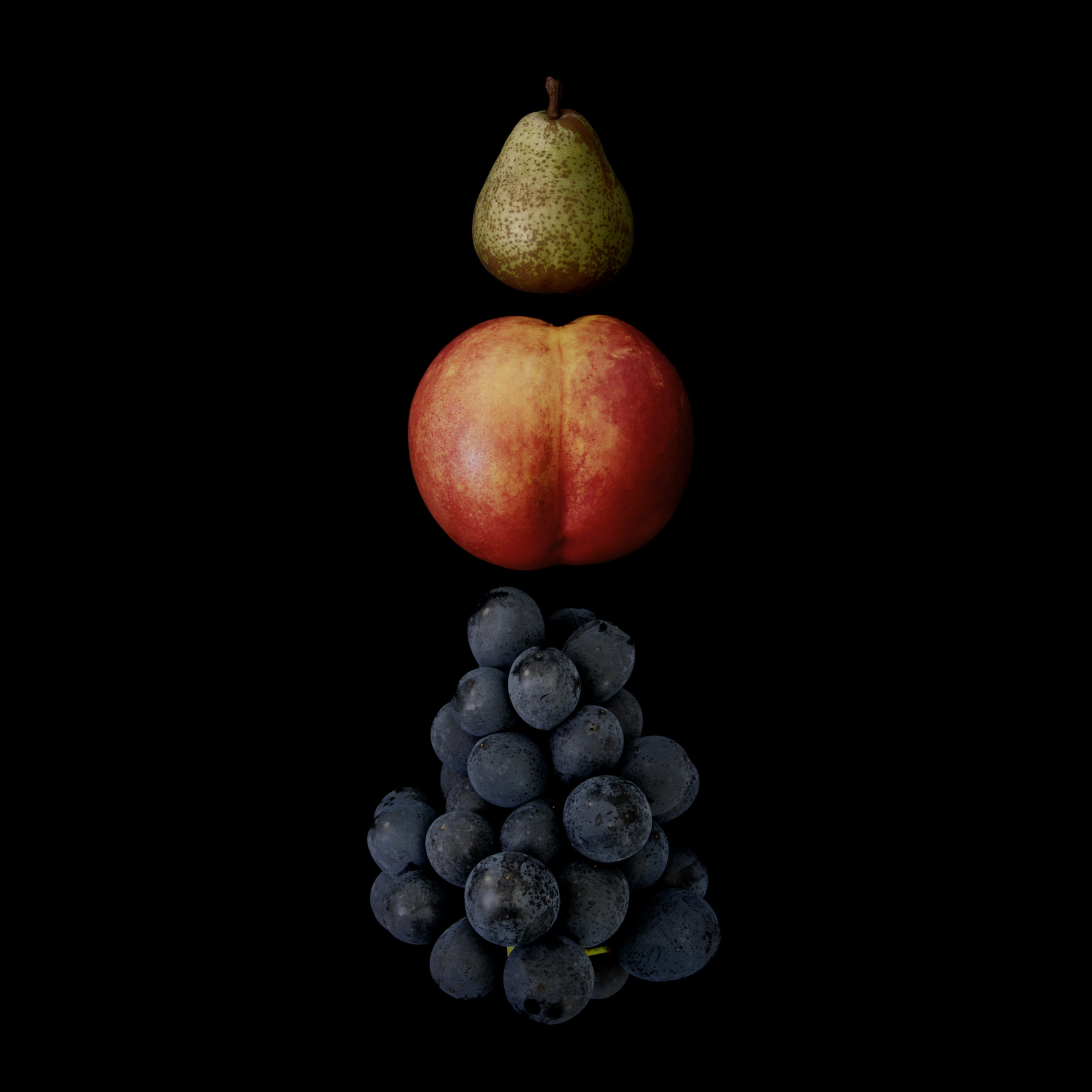 Portraits: Composite Forms 003