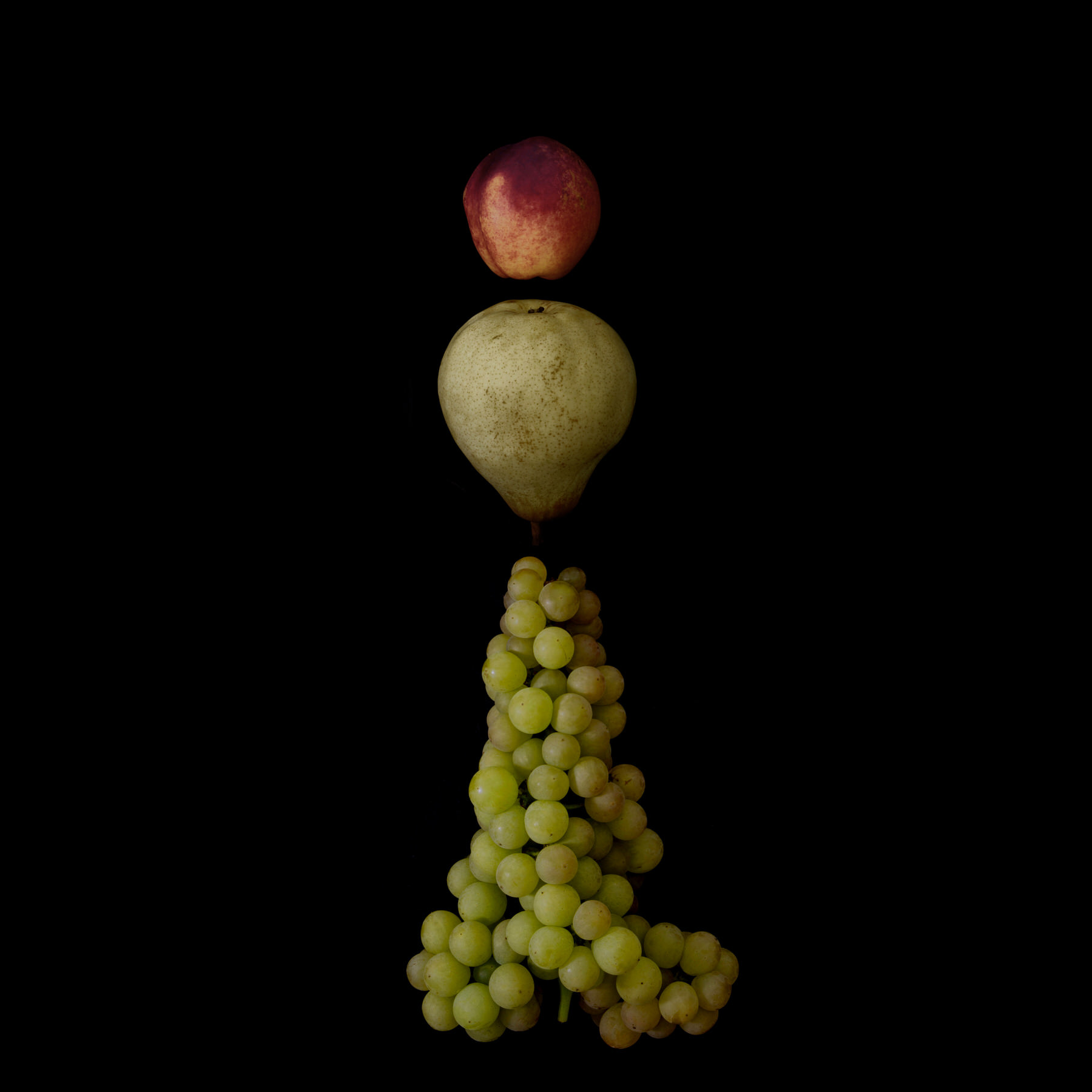 Portraits: Composite Forms 006