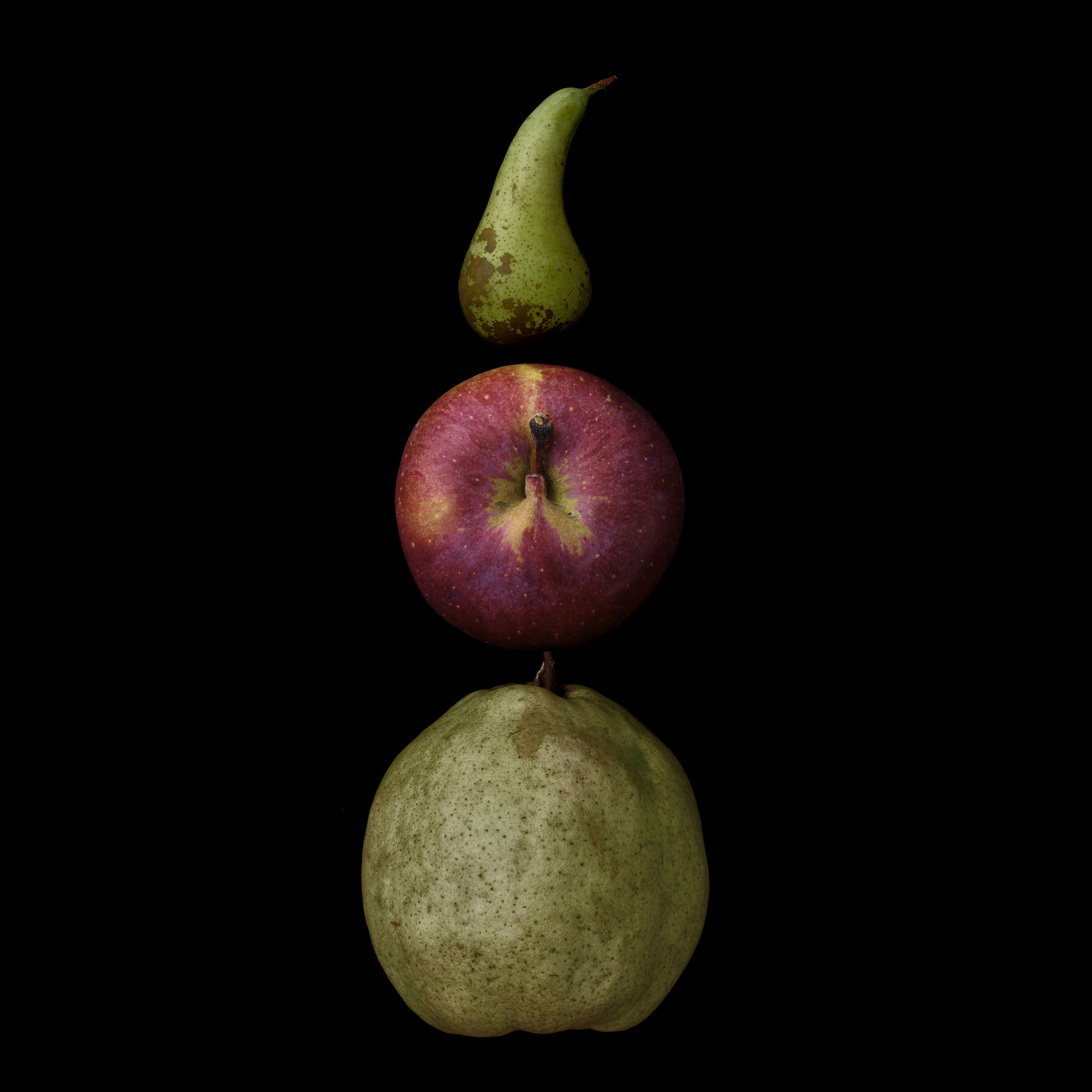 Portraits: Composite Forms 007