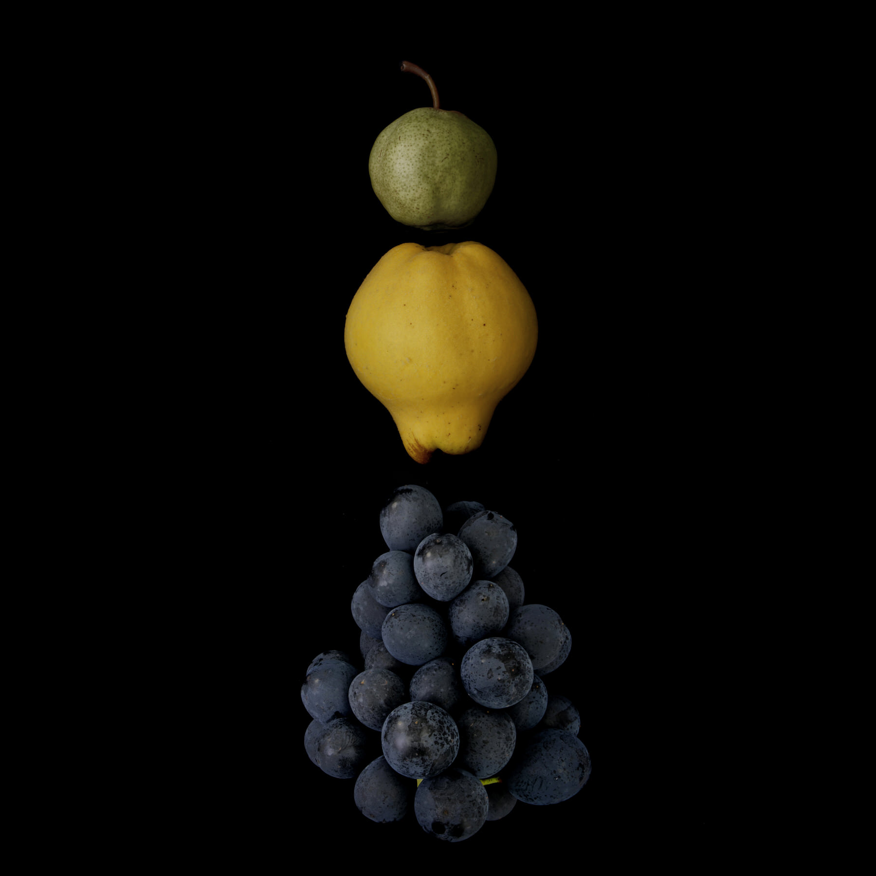 Portraits: Composite Forms 008