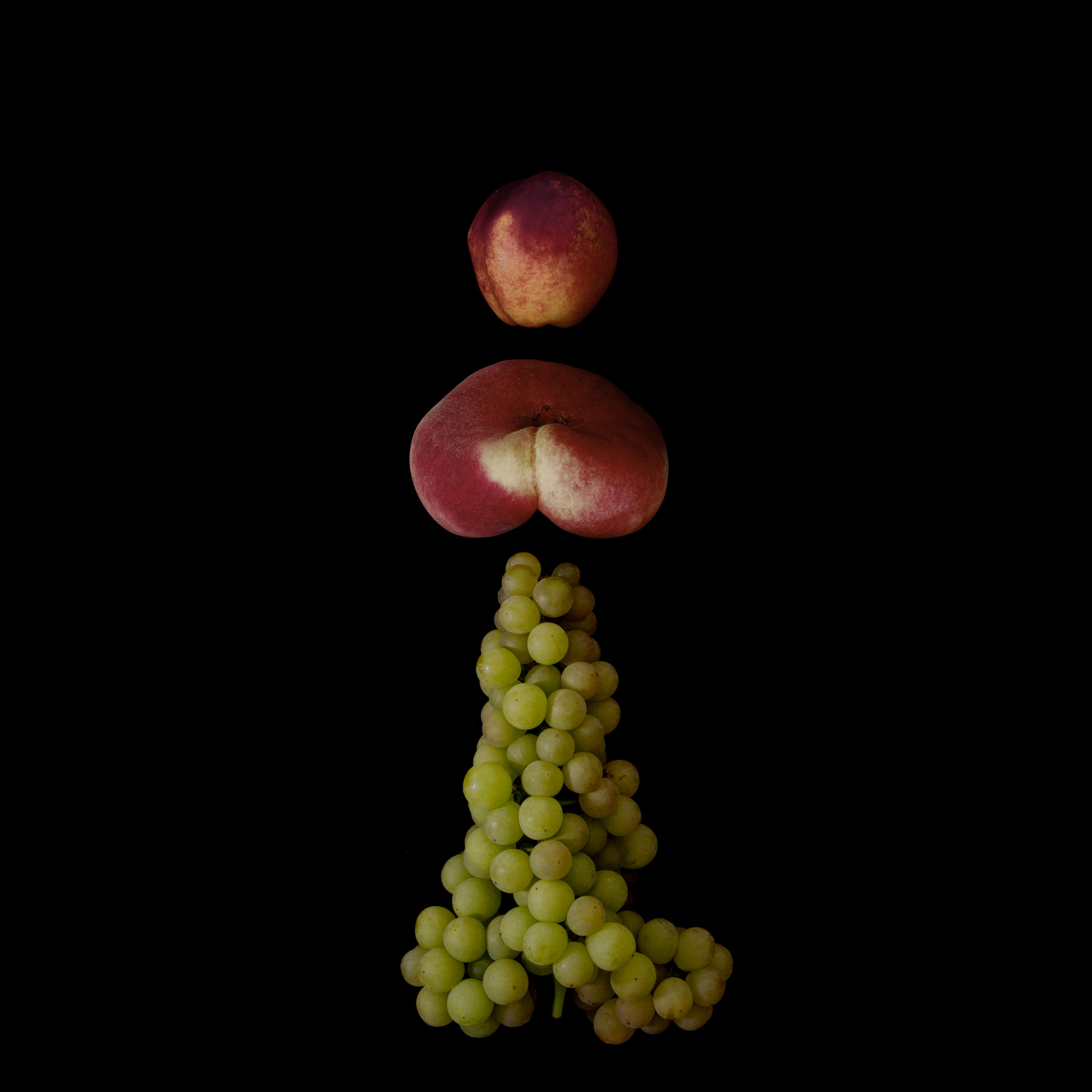Portraits: Composite Forms 009