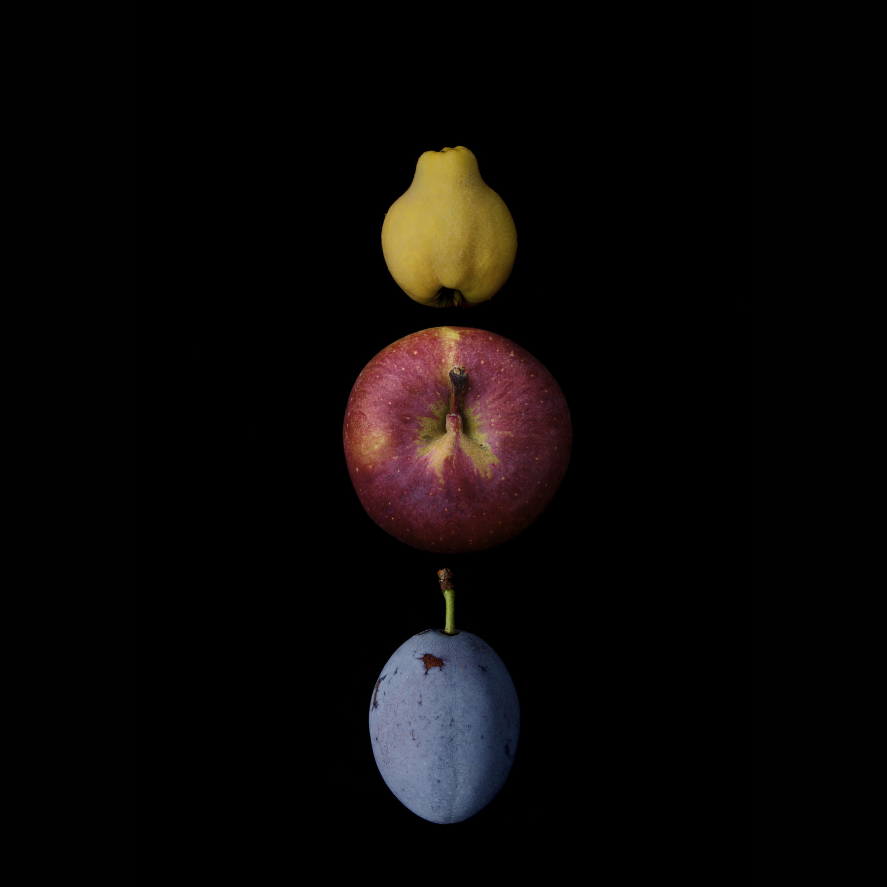 Portraits: Composite Forms 010