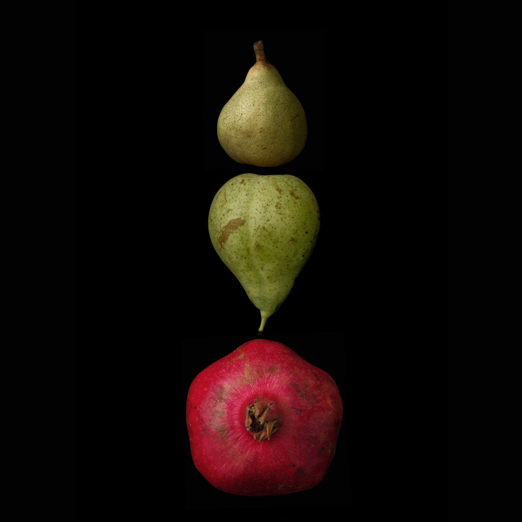 Portraits: Composite Forms 011
