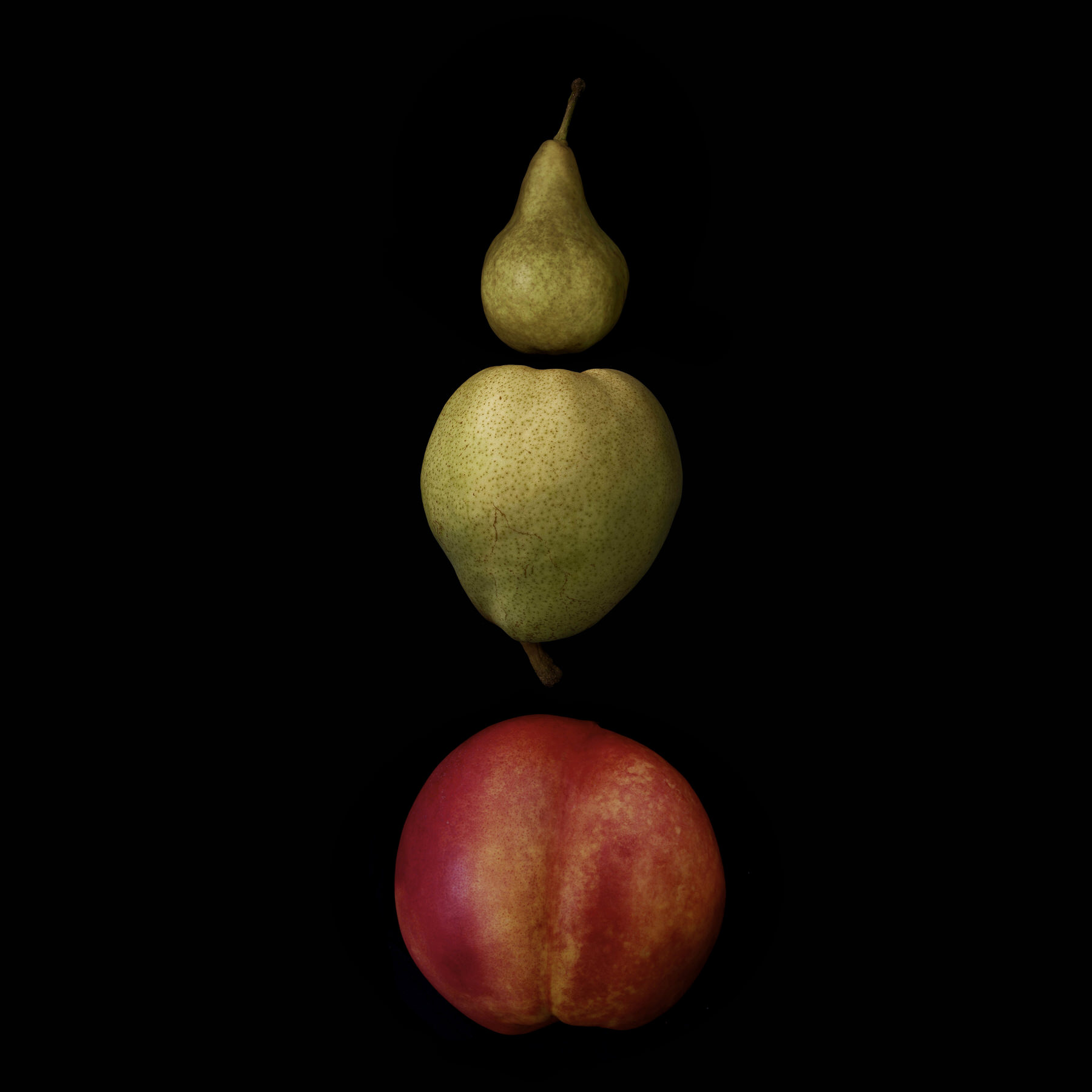 Portraits: Composite Forms 014