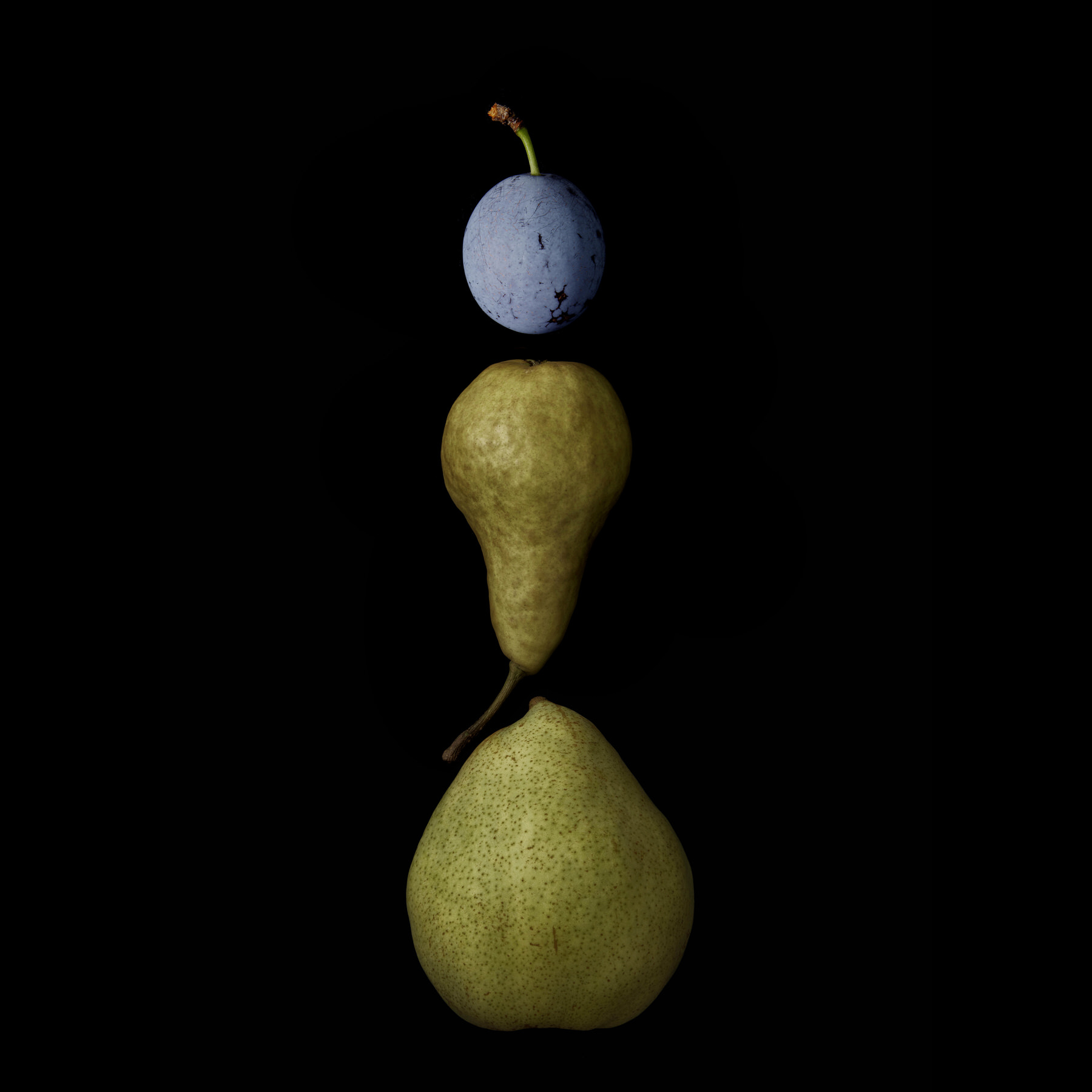 Portraits: Composite Forms 015