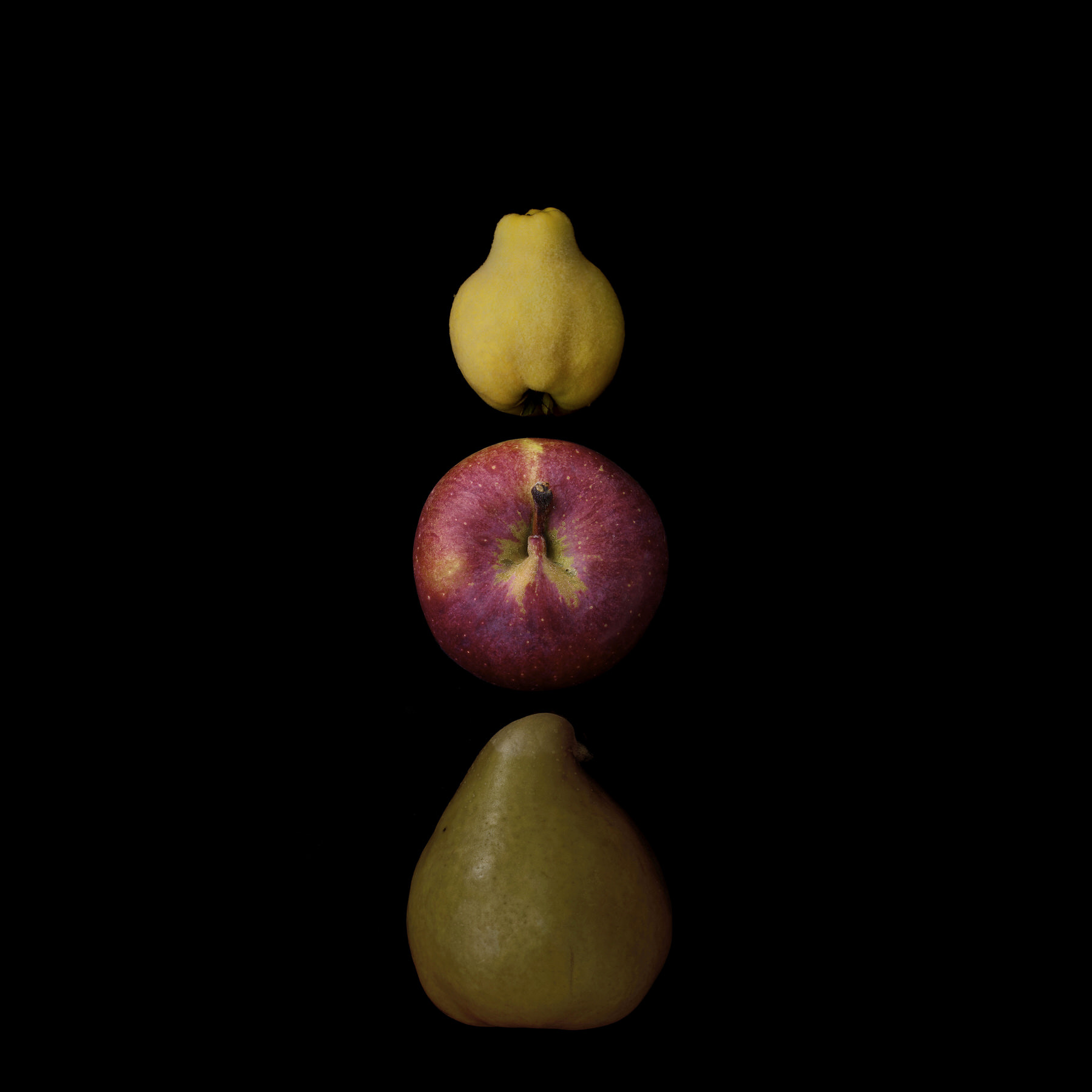 Portraits: Composite Forms 016