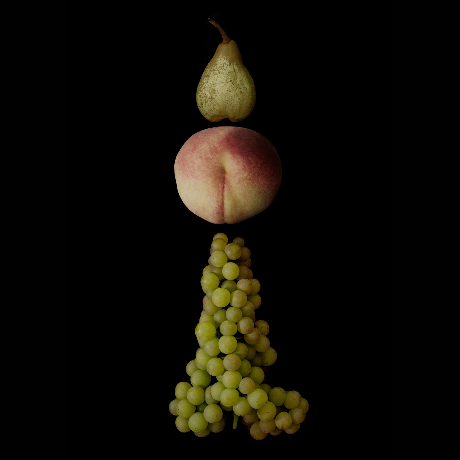 Portraits: Composite Forms 017