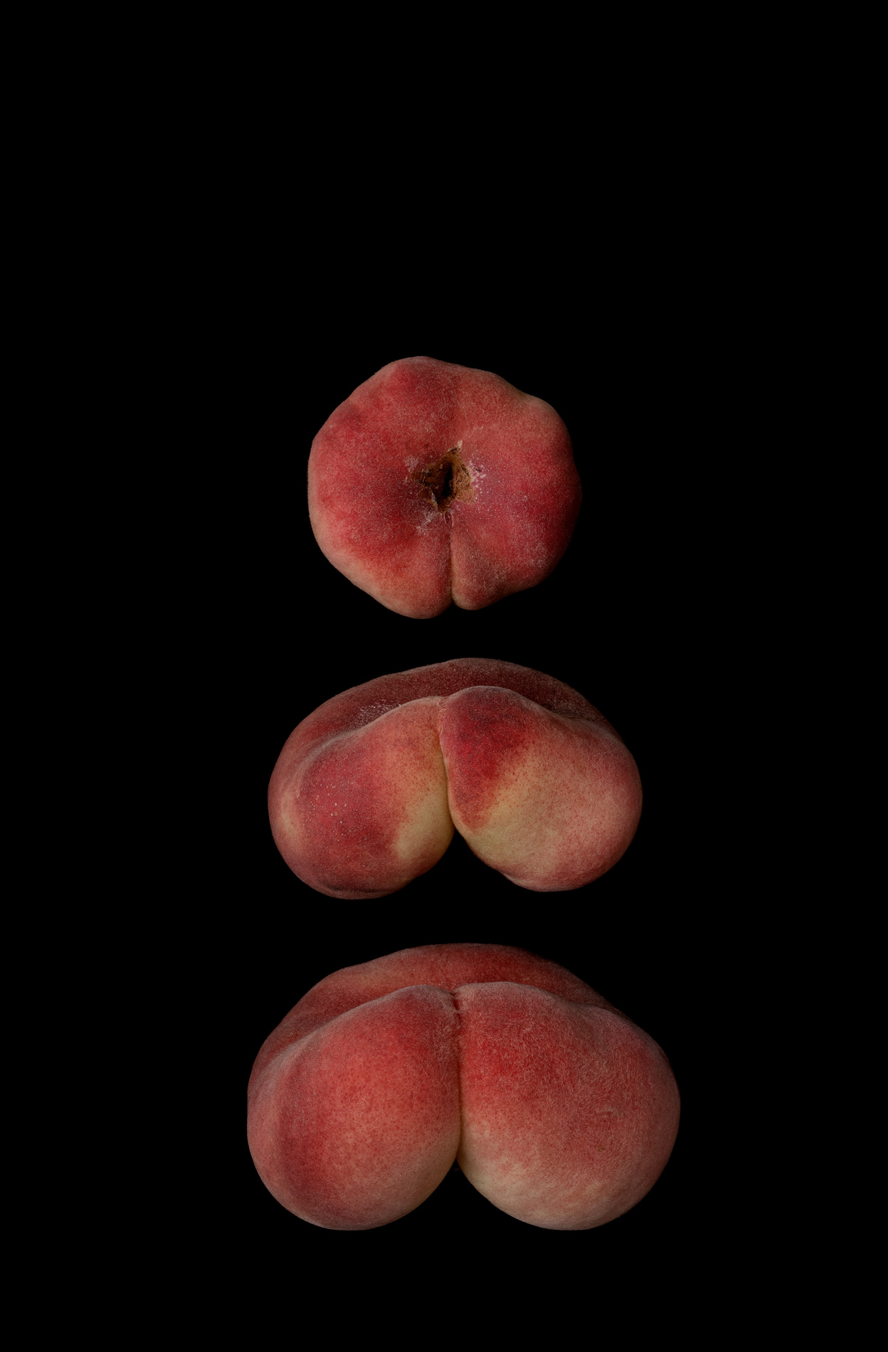 Portraits: Single Variety 002