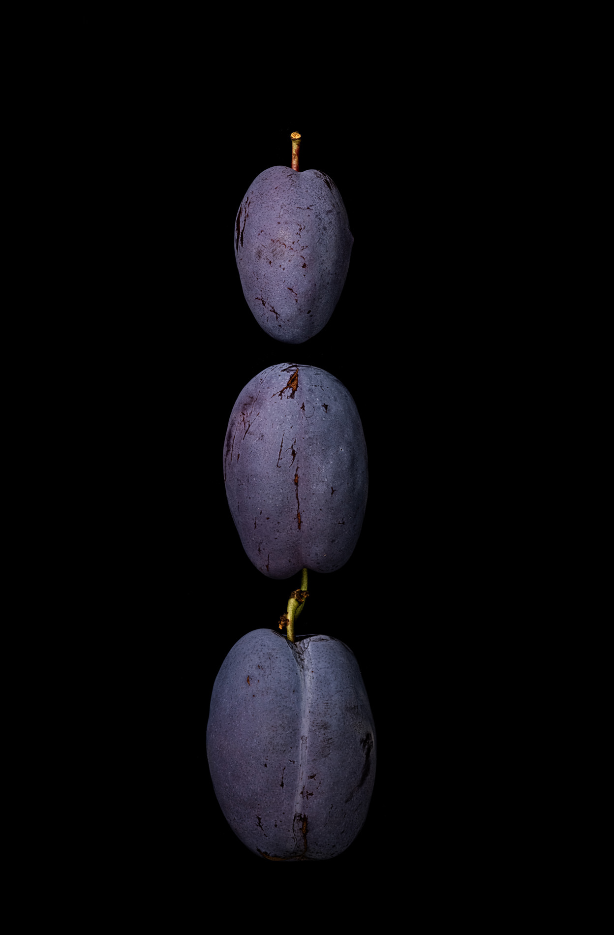 Portraits: Single Variety 003