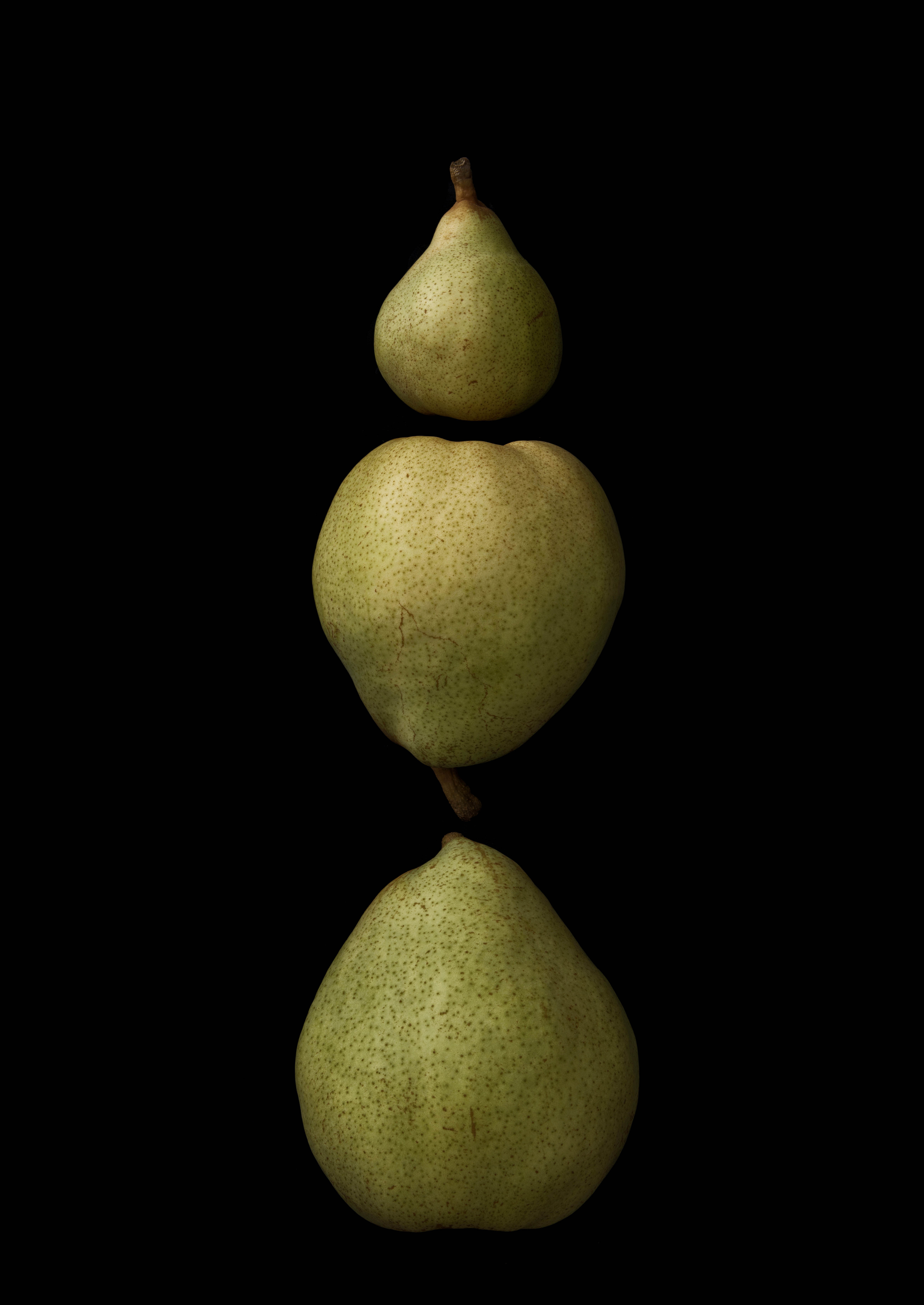 Portraits: Single Variety 007