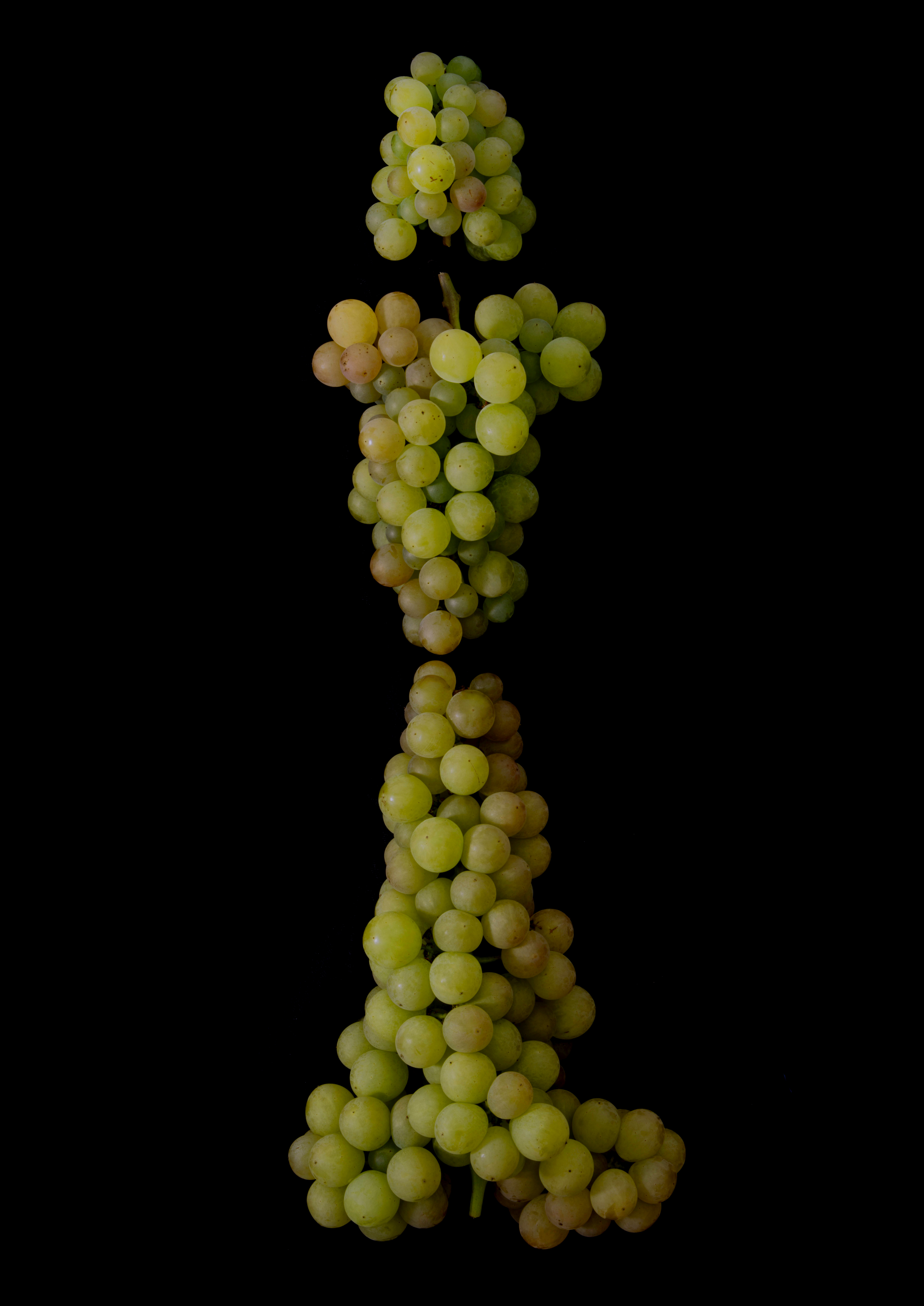 Portraits: Single Variety 008