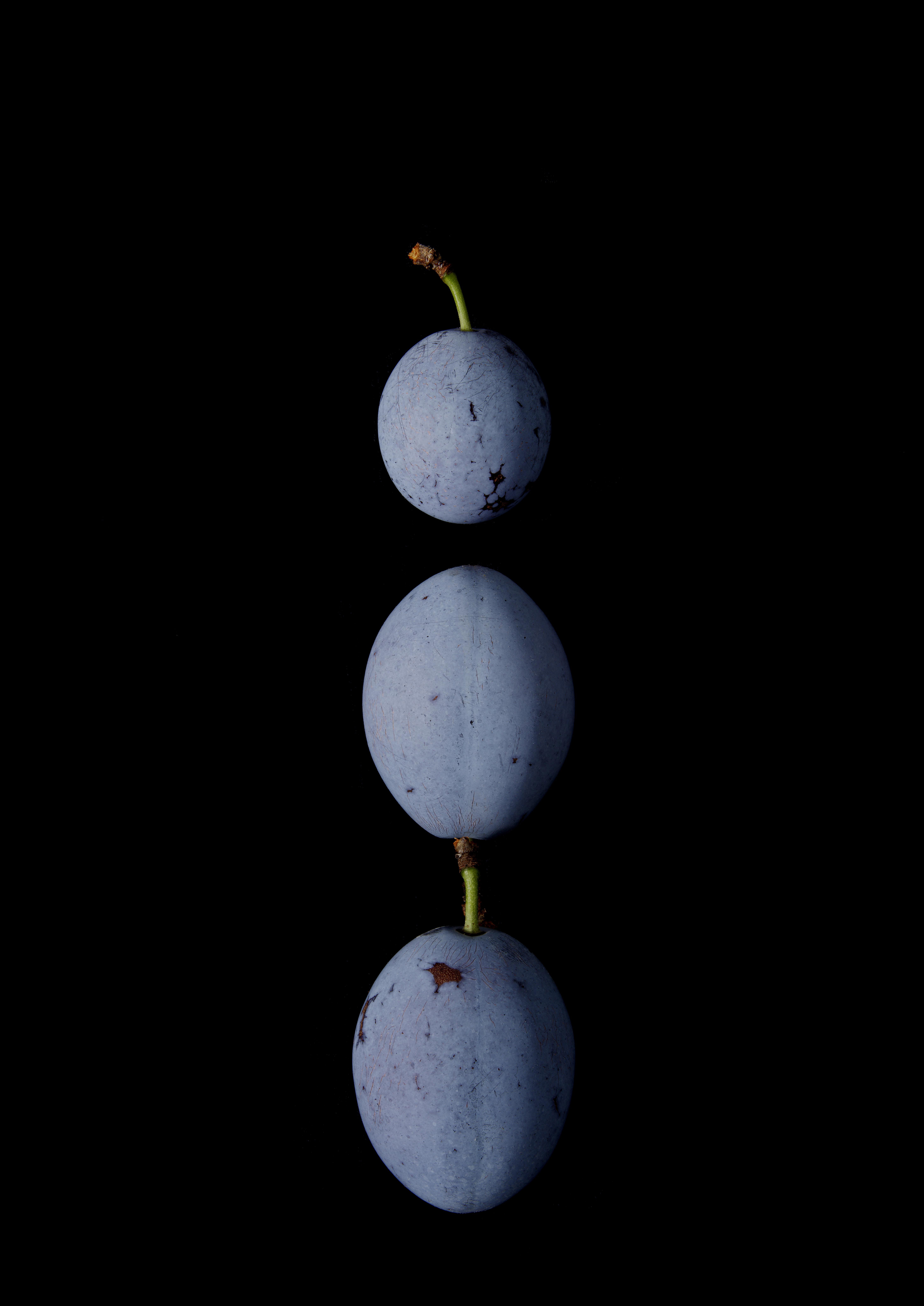 Portraits: Single Variety 015