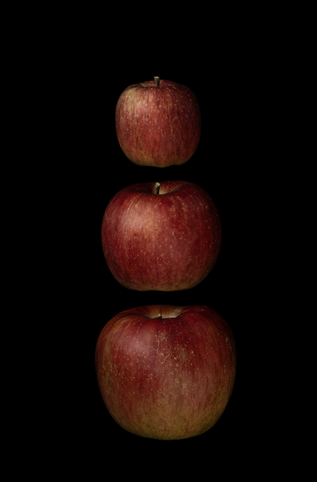 Portraits: Single Variety 016